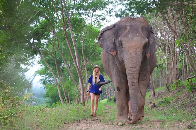 Ethical Elephant Sanctuary Tour from Bangkok & Pattaya - Living Green Elephant Sanctuary in Khao Kheow, the part your photos can’t show