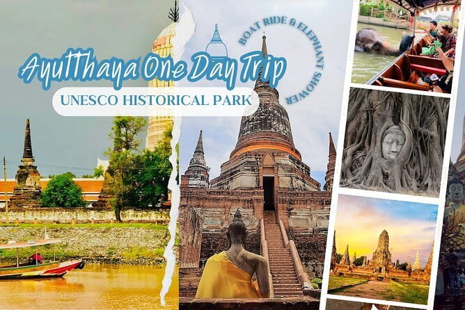 Ethical Elephant Watching Tour From Bangkok & Pattaya - Guides, mahouts, and why the experience feels different
