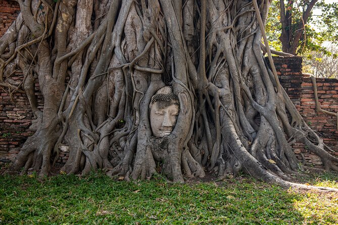 Explore Ancient Ayutthaya Historical Park Day Tour in Bangkok - Key highlights worth planning around