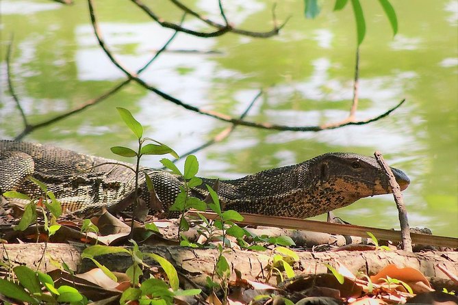 Family Bicycle Tour in the Green Oasis of Bangkok on Bamboo bikes - Stop 3: Sri Nakhon Khuean Khan Park, botanical gardens, and sunset from the birdwatch tower