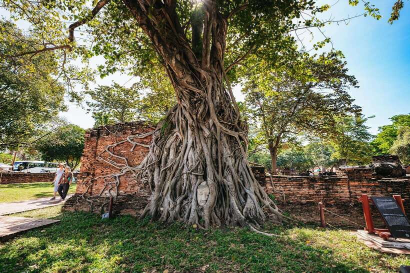 From Bangkok: Ayutthaya Temples Guided Tour with Lunch - Why this Ayutthaya day feels worth it