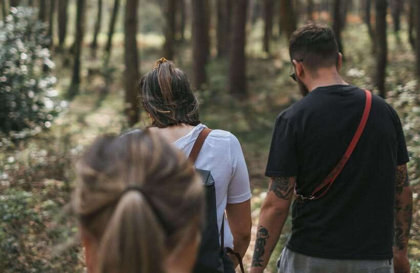 From Bangkok: Khao Yai National Park Small-Group Day Trip - Wildlife odds: what you can realistically hope to see