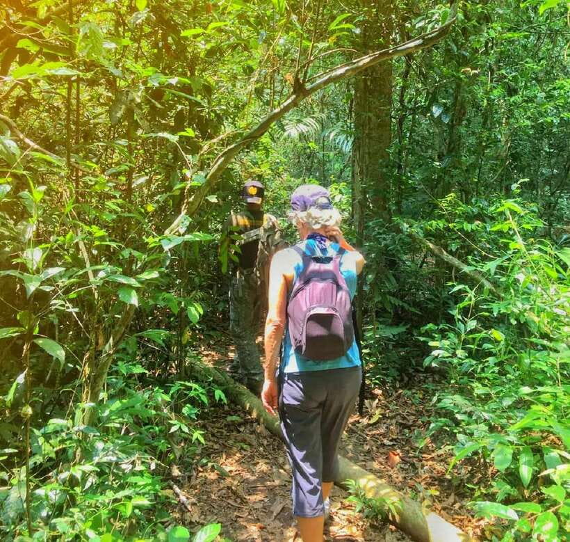 From Bangkok: Khao Yai National Park Small-Group Day Trip - Khao Yai National Park: the KM 33 Nong Phak Chi hike