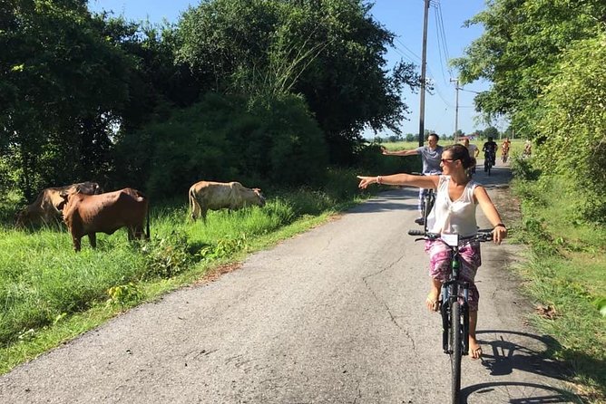 Full Day Cycling tour to Sukhothai Historical Park - Lunch, snacks, drinks, and how not to get wrecked by heat