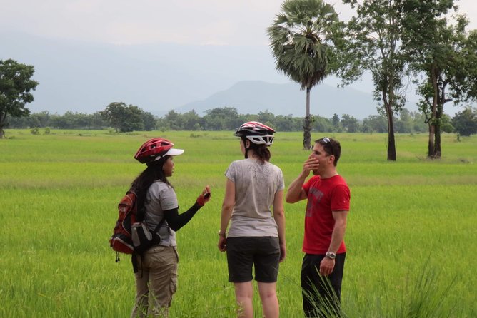Full Day Cycling tour to Sukhothai Historical Park - Bike quality, gears, and who this tour suits best
