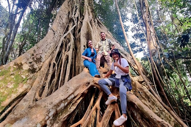 Haew Suwat Waterfall-Jungle Hiking to KM 33 Nong Pak Chi - Why Khao Yai feels like a reset from Bangkok