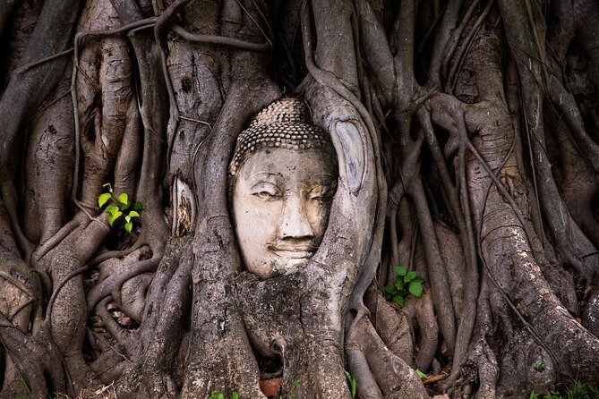 Half-Day Ayutthaya Sunset Bicycle Excursion - Sunset biking in Ayutthaya: why the 5:00 pm start works