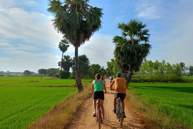 Half Day Countryside Cycling in Sukhothai - Dirt Roads and Rice Paddies: The Part You Will Remember
