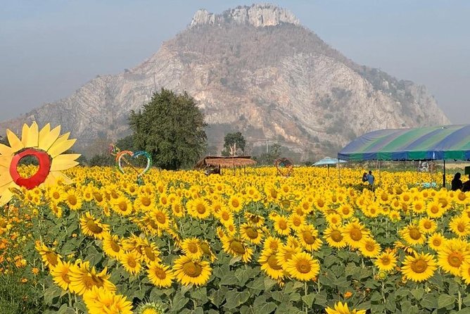 Khao Yai national Park day tour from Bangkok - Comfort, driver quality, and the one thing to communicate early