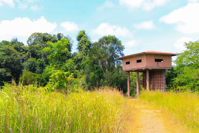 Khao Yai National Park Full Day - Heading out of Bangkok for UNESCO Khao Yai