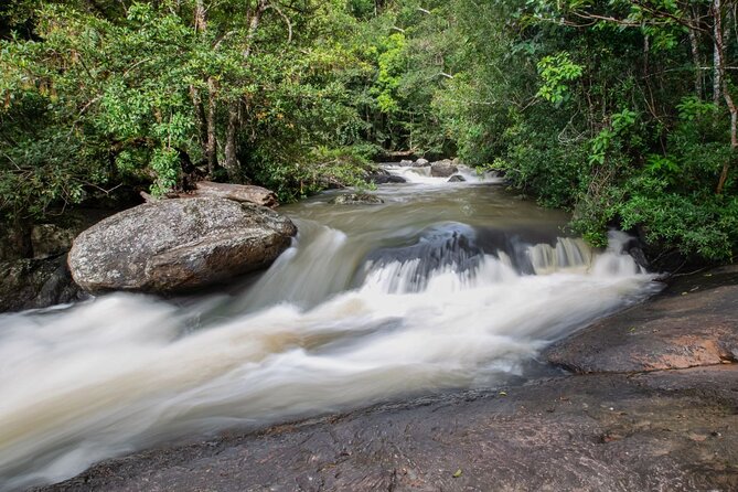 Khao Yai National Park Full-Day From Bangkok - Including Ticket - Haew Suwat Waterfall: Stairs, Viewpoint Photos, and Crowds to Expect