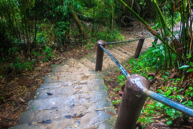 Khao Yai National Park Full-Day From Bangkok - Including Ticket - What to Bring: Shoes, Pants, Bug Spray, and Wet-Weather Reality