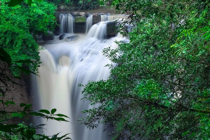 Khao Yai National Park Full-Day From Bangkok - Including Ticket - The 3 to 4 km Forest Trek: Where the Day Gets Active