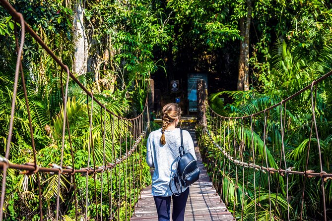 Khao Yai National Park Full Day Tour from Bangkok - Key highlights if you love nature days