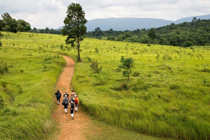 Khao Yai National Park Full Day Tour from Bangkok - Entering Khao Yai: Guided Trail Time Inside the UNESCO Park