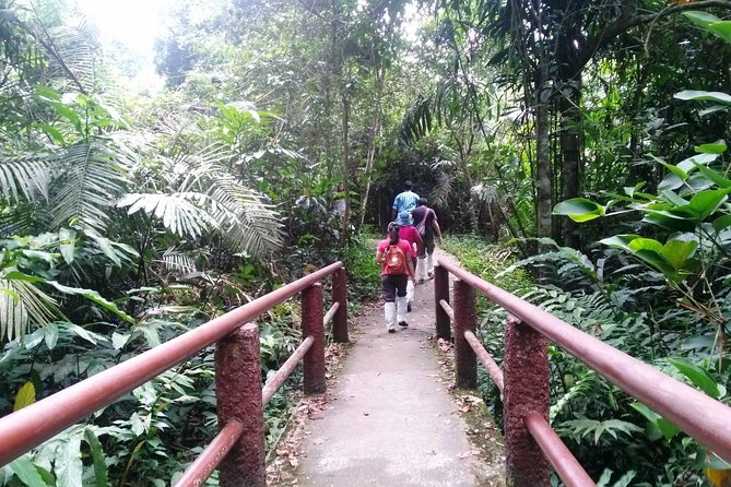 Khao Yai National Park Hiking Day Tour: Haew Narok and Haew Suwat - Sai Sorn Reservoir: quick stop, real wildlife potential