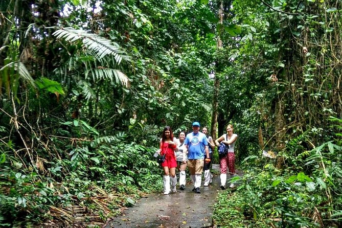 Khao Yai National Park Hiking Day Tour: Haew Narok and Haew Suwat - What is included beyond the tour stops