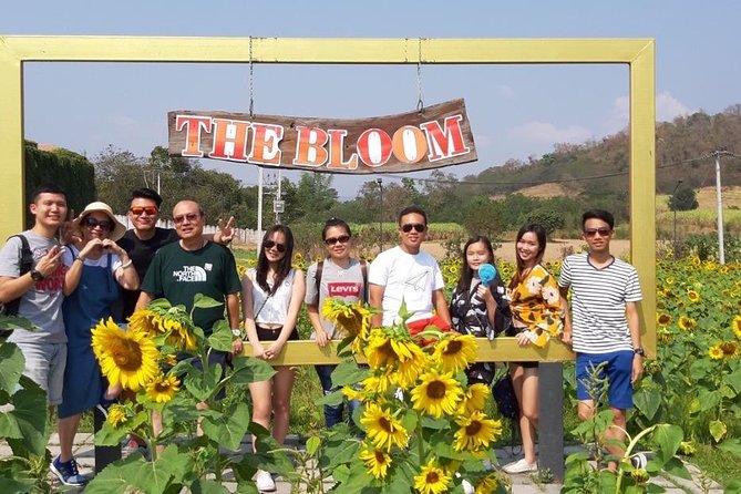 Khao Yai One Day Tour from Bangkok - The Chocolate Factory Khao Yai: short stop, easy win