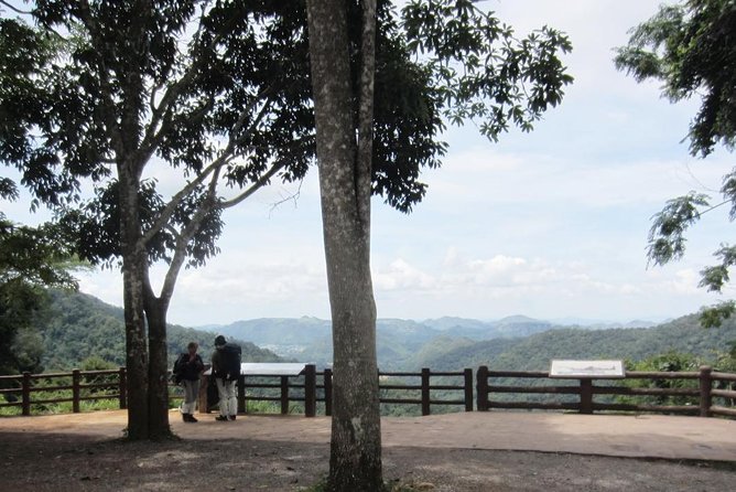 KhaoYai National Park 3D2N - What to expect from wildlife and scenery in Khao Yai