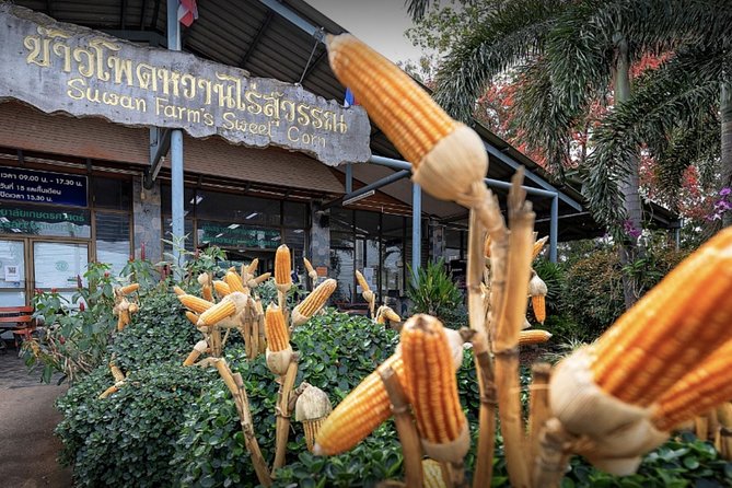 KhaoYai National Park 3D2N - Where to stay during your 2 nights: Mu Si and Pak Chong as a base idea