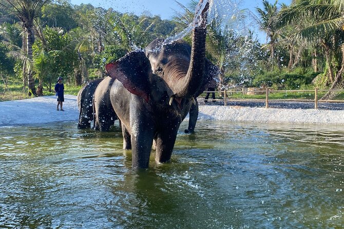 Living Green Elephant Sanctuary Experience near Bangkok & Pattaya - Key highlights to look for