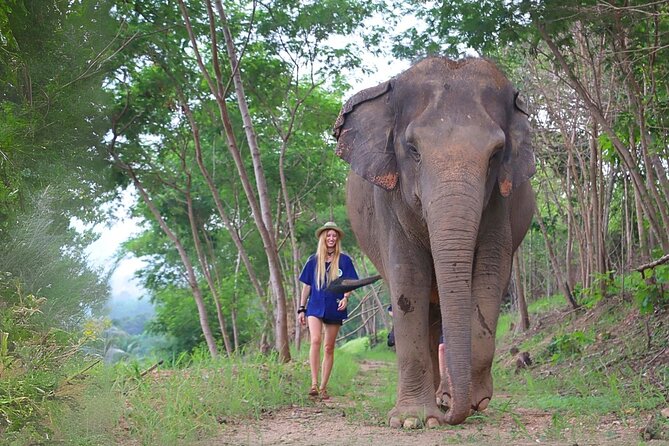 Living Green Elephant Sanctuary Tour from Bangkok and Pattaya - Key highlights to look for