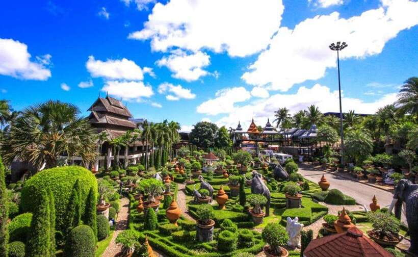 Pattaya: Nong Nooch Tropical Garden Ticket for Foreigners - The Science Corner: Why the Cycad Gene Bank Makes This More Than a Park