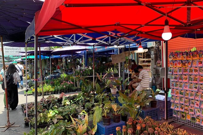 Private Exclusive Guided Chatuchak Weekend Market Shopping Tour - Price and value: is $90.25 a fair deal for Chatuchak?