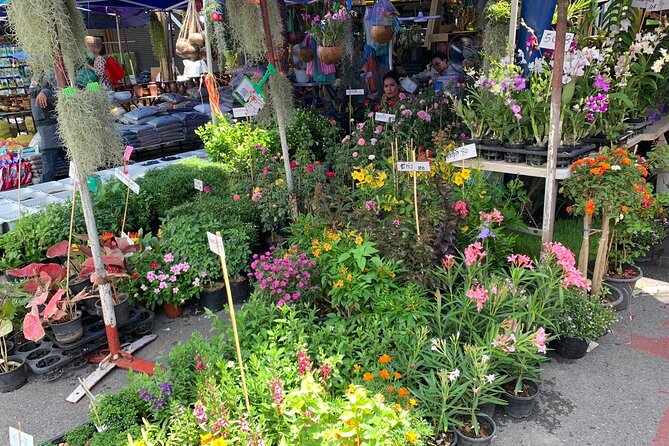 Private Exclusive Guided Chatuchak Weekend Market Shopping Tour - Should you book the private Chatuchak weekend market tour?
