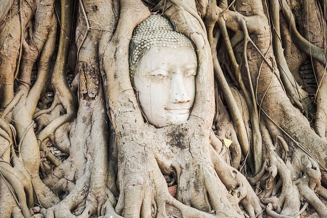 Private Tour: Ayutthaya Day Trip with Boat tour - Wat Mahathat: the famous tree roots, up close