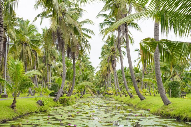 Private Tour: Floating Markets and Suan Sampran Day Trip from Bangkok - Should You Book This Private Floating Market and Sampran Day Trip?