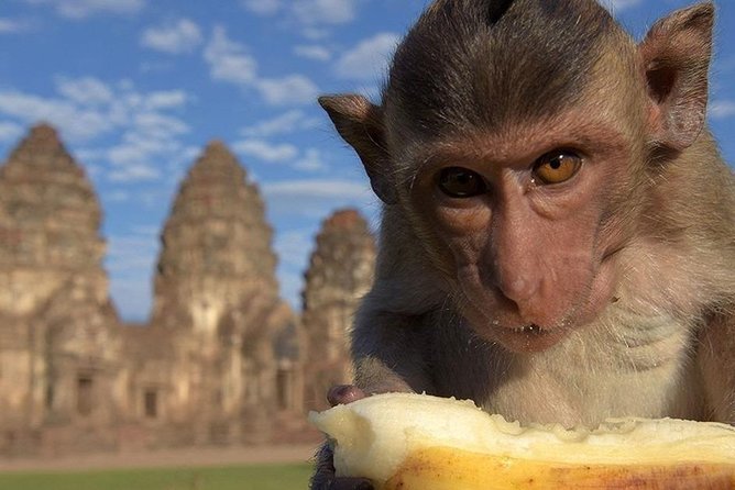 Private tour to Ayutthaya and Lopburi Monkey Temple (from Bangkok) - Lopburi Monkey Temple: Phra Prang Sam Yod in real life