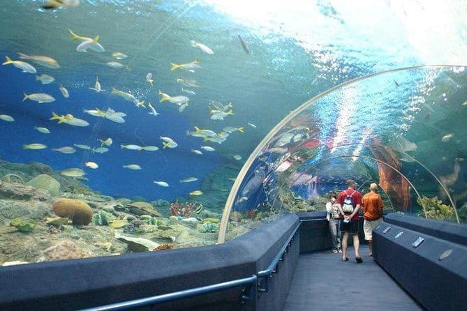 Private Transfer from Pattaya to Don Mueang/Suvarnabhumi Airport - Drop-off at the terminal: where stress usually happens