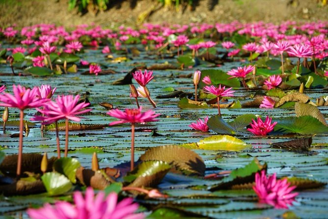 Red Lotus garden market with Thai culture halfday tour - Miang Kham Snacks and What to Expect on Site
