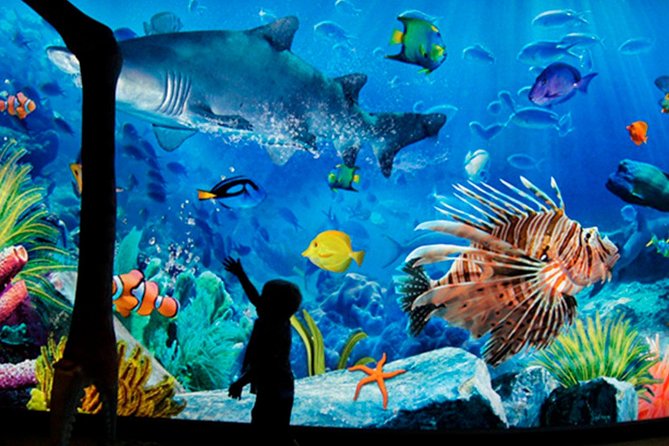 Sea Life Bangkok Ocean World Tickets - Quick highlights at a glance
