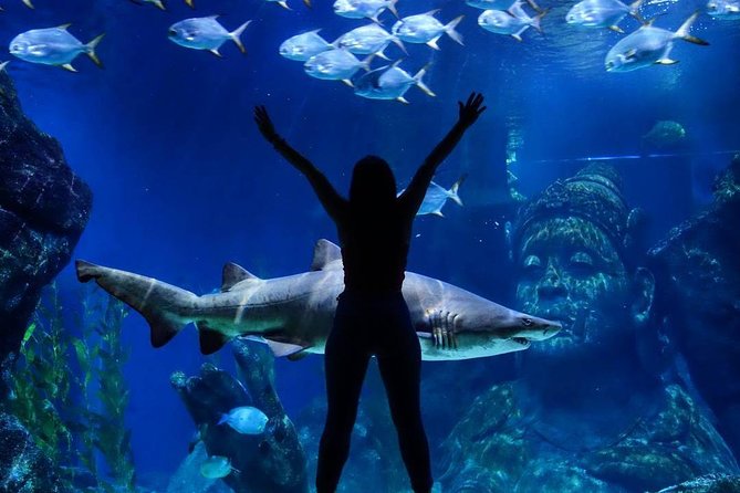 Sea Life Bangkok Ocean World Tickets - 4D movie: the extra you might skip depending on your kids