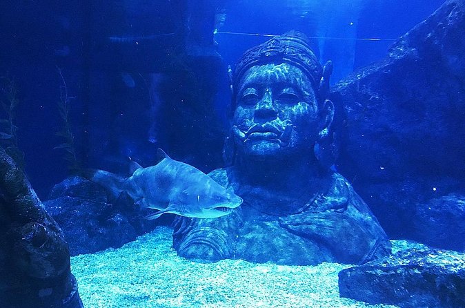 Sea Life Bangkok Ocean World Tickets - Price and logistics: does $44 feel fair?