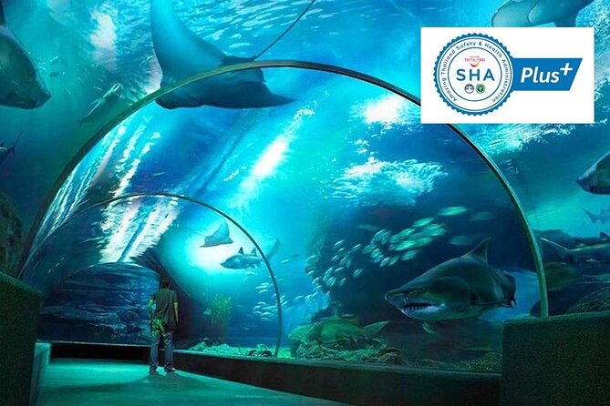 SEA LIFE & Madame Tussauds: Ultimate Bangkok Combo Ticket - SEA LIFE Bangkok Ocean World (More Than a Tank Walkthrough)