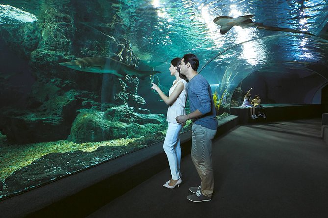 SEA LIFE & Madame Tussauds: Ultimate Bangkok Combo Ticket - Price and Value: What $55.12 Really Buys