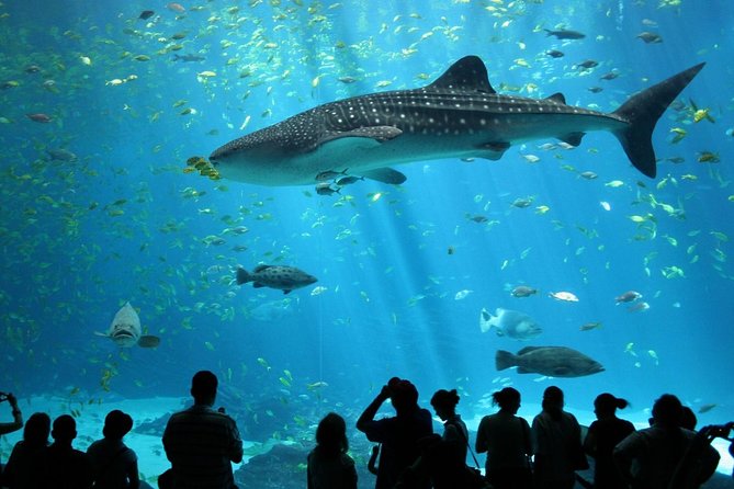 SEA LIFE Ocean World at Bangkok Admission Ticket - Key Highlights You Should Know Before You Go
