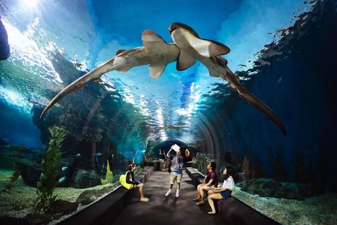 SEA LIFE Ocean World at Bangkok Admission Ticket - Deep Reef, Rain Forest, and the Weird and Wonderful Rooms