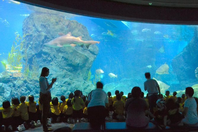 SEA LIFE Ocean World at Bangkok Admission Ticket - Sea Jellies and Living Ocean: Where You Set the Pace
