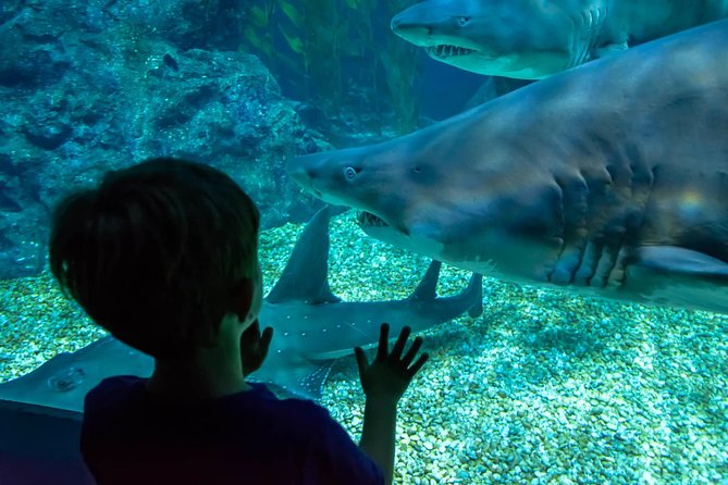 SEA LIFE Ocean World at Bangkok Admission Ticket - Timing Your Day: How to Work Around the 11-Hour Booking Window