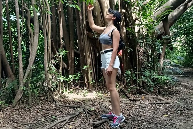 The Original Bicycle Tour in the Green Jungle of Bangkok - The cycling pace and skills: what easy means on raised paths