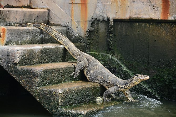Timeless Thonburi Canal and Food Tour - Who should book, and who should skip