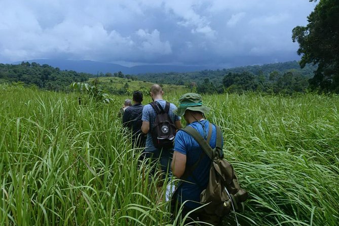 UNESCO Khao Yai National Park Adventure: Hiking & Waterfalls - The ranger-led hike near KM 33: what to expect on your feet
