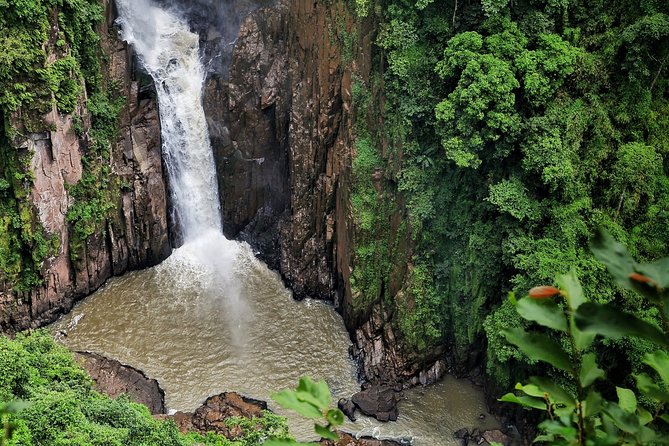 UNESCO Khao Yai National Park Adventure: Hiking & Waterfalls - Price and value for a long day trip from Bangkok