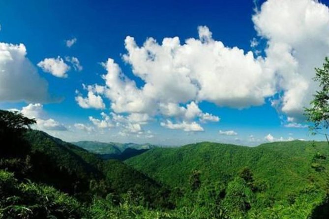 UNESCO Khao Yai National Park Adventure: Hiking & Waterfalls - Who this Khao Yai adventure suits best
